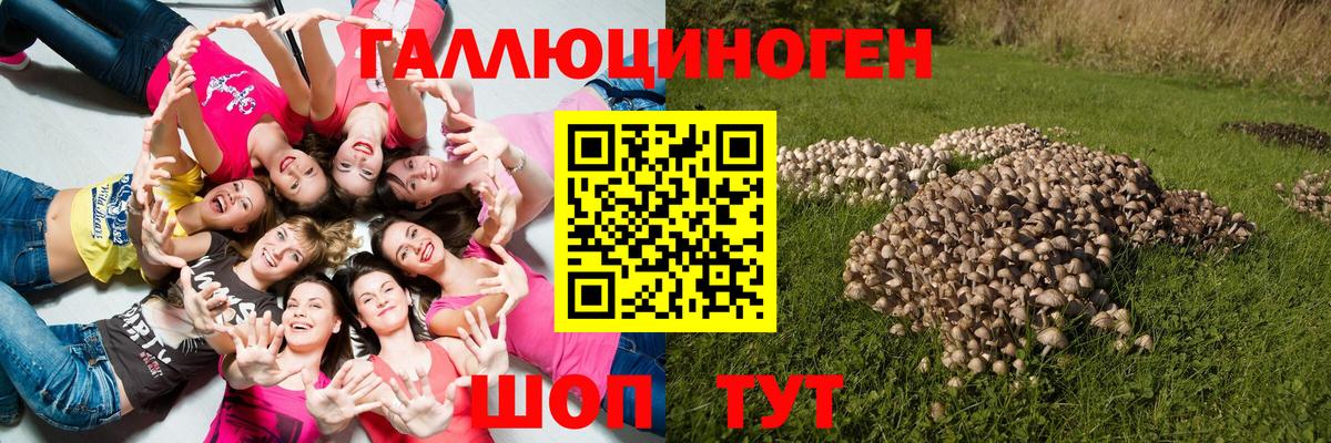Псилоцибиновые грибы ЛСД Можга